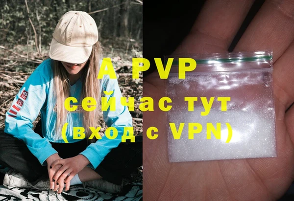 дмт Алексин