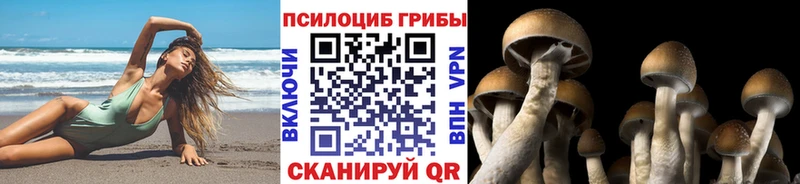 Галлюциногенные грибы GOLDEN TEACHER Усолье-Сибирское