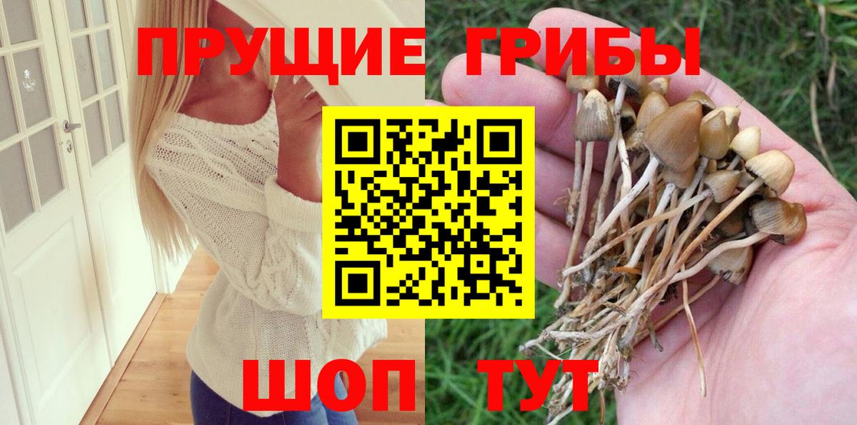 Псилоцибиновые грибы MAGIC MUSHROOMS  Вход с VPN  купить наркотики цена  Усолье-Сибирское 